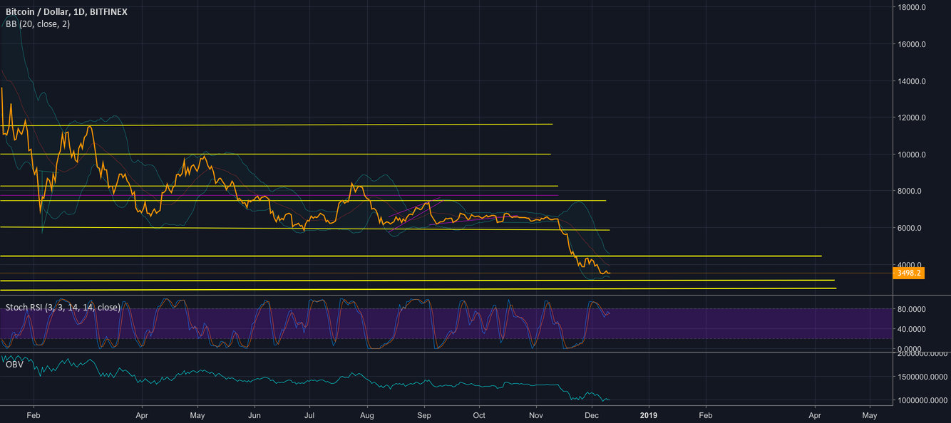 Bear season continues for bitcoin Bear season continues for bitcoin