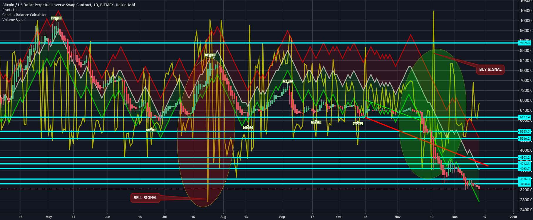 Bitcoin heartbeat - strong buy signal Bitcoin heartbeat - strong buy signal