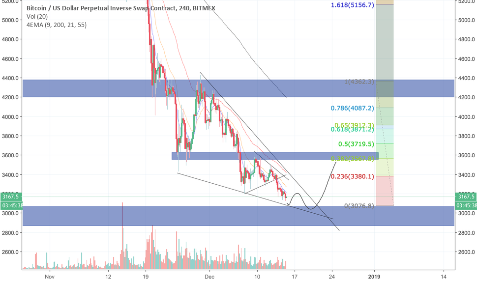 Bitcoin, a potential dead cat Bitcoin, a potential dead cat