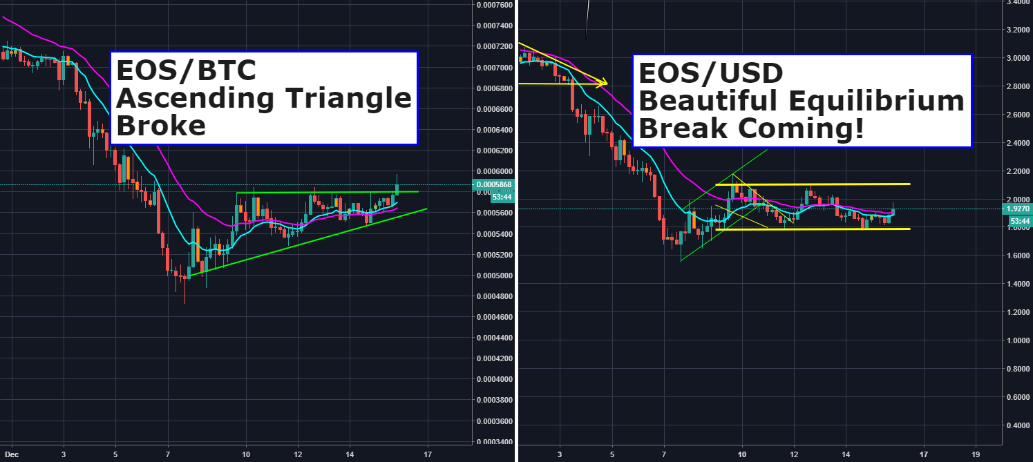 Eos beautiful equilibrium - break coming! Eos beautiful equilibrium - break coming!