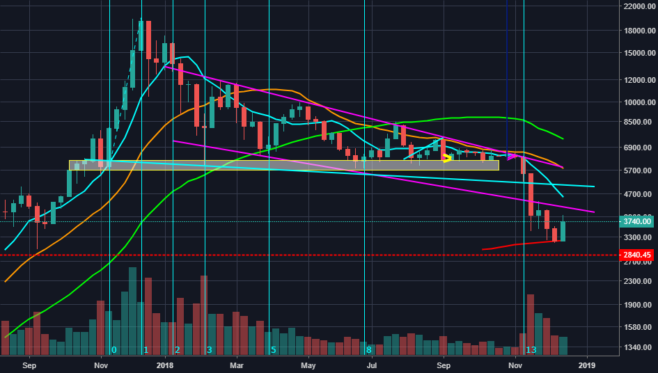 Bitcoin weekly chart - interesting fib time zone points Bitcoin weekly chart - interesting fib time zone points