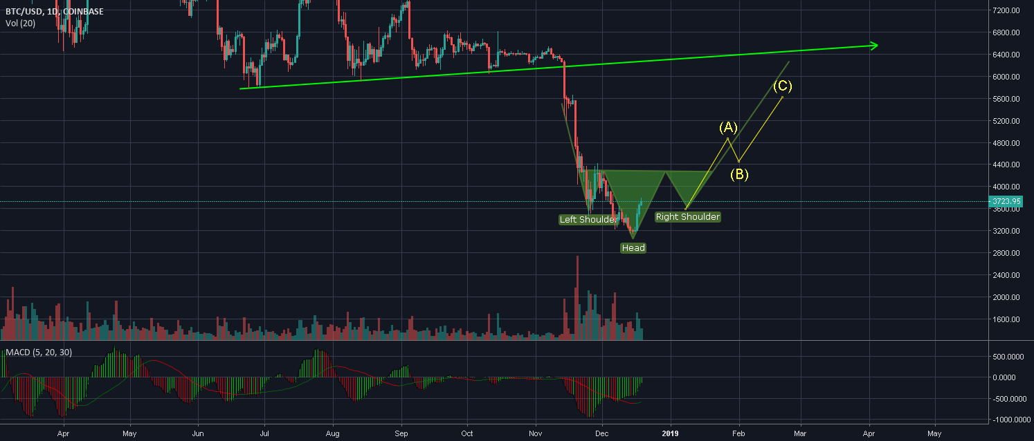 Bitcoin and s- h- s Bitcoin and s- h- s