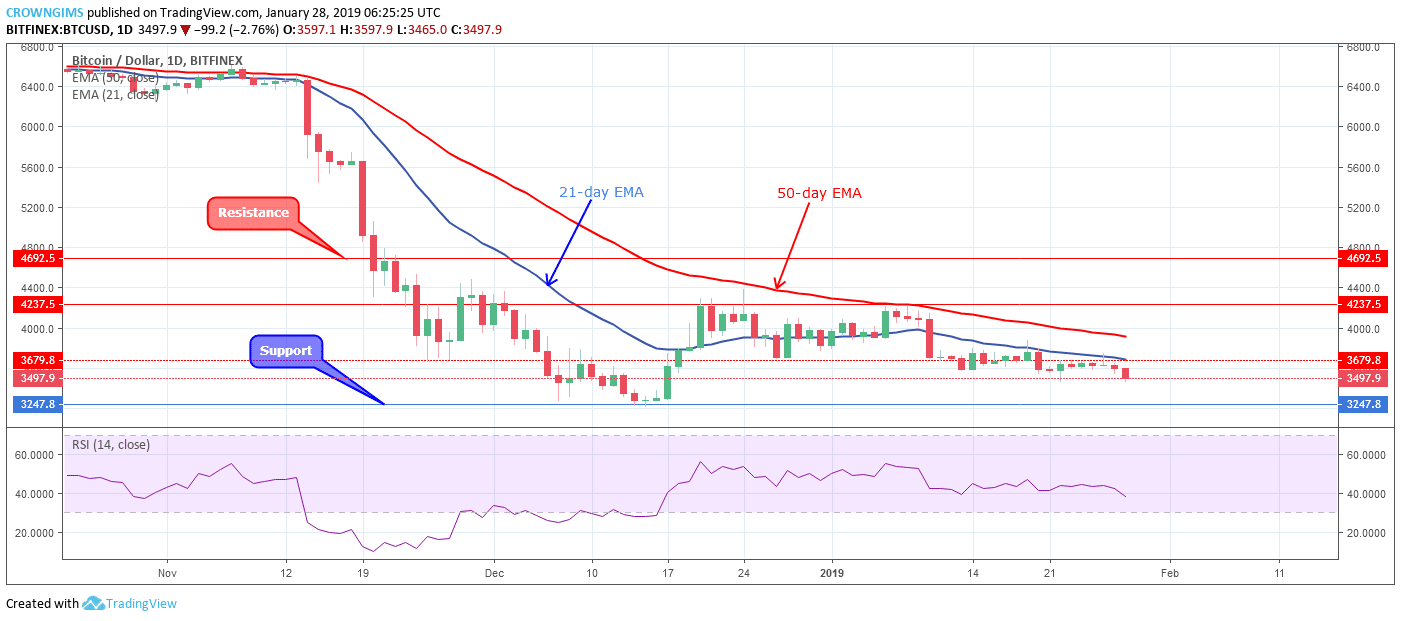 Bitcoin price analysis: btc/usd trends of january 28–february 03, 2019 Bitcoin price analysis: btc/usd trends of january 28–february 03, 2019