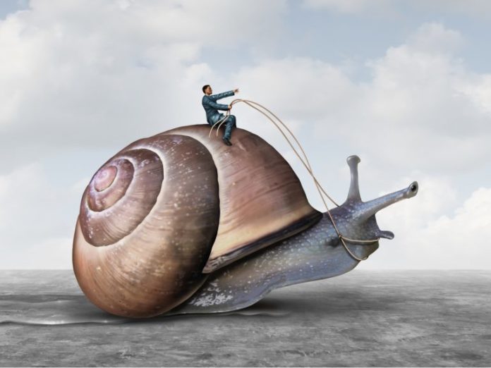 Shutterstock_744983335-768x576. Jpg Icos produce slow start to 2019