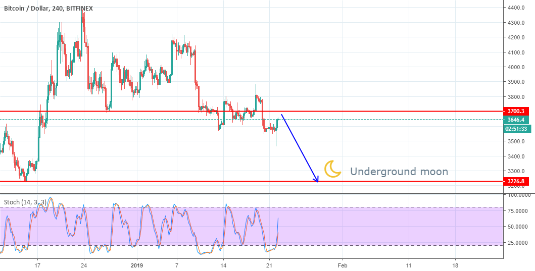 Bitcoin to the moon Bitcoin to the moon
