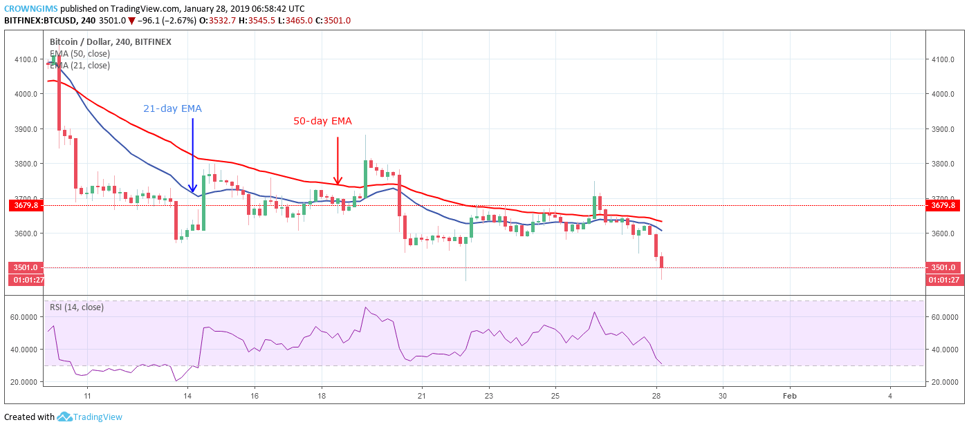Bitcoin price analysis: btc/usd trends of january 28–february 03, 2019