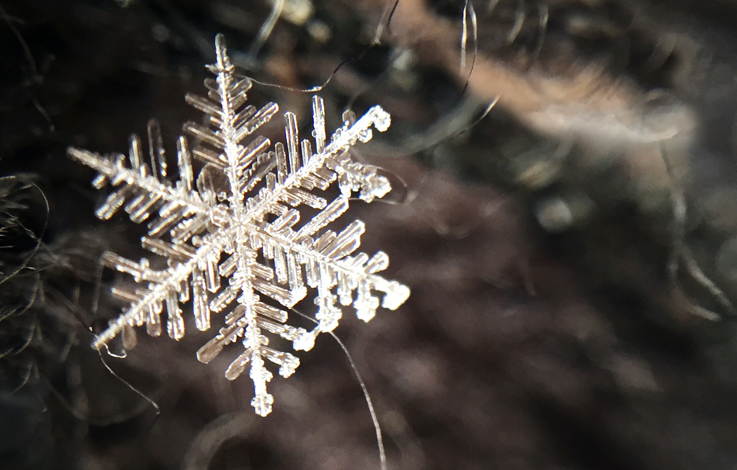 We asked 66 startups just how bad this crypto winter has been We asked 66 startups just how bad this crypto winter has been