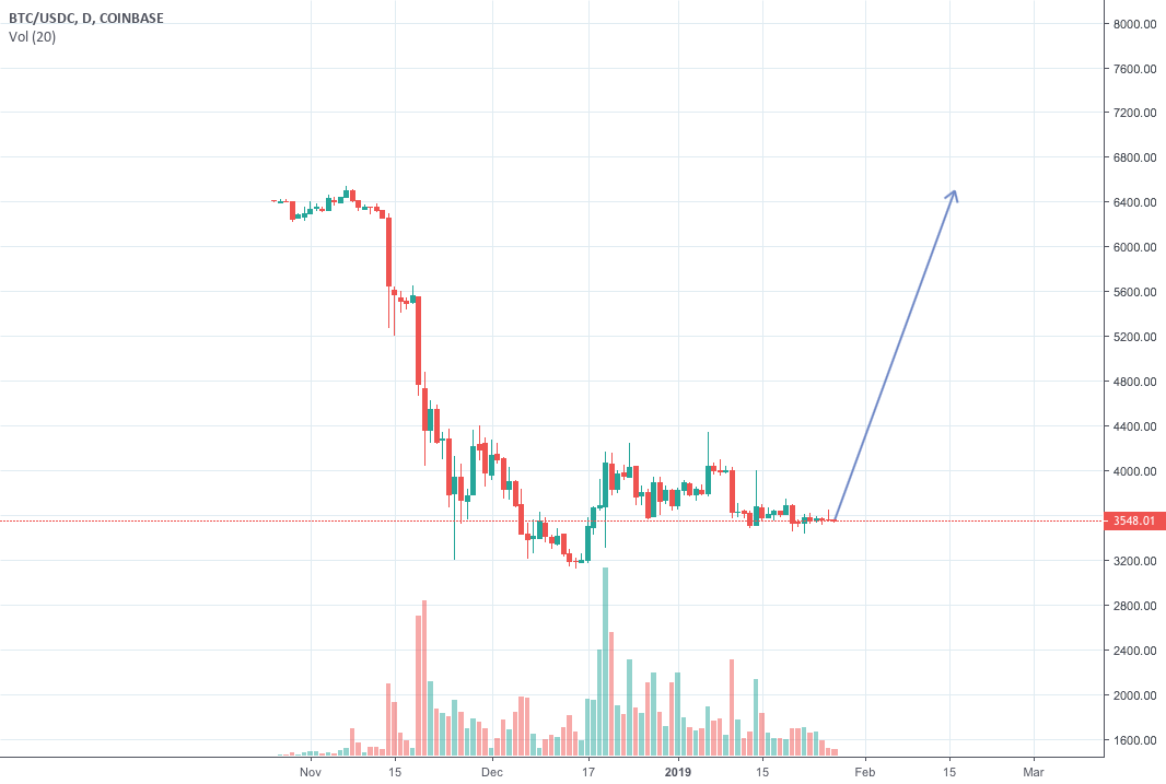 Bitcoin will go up. Bitcoin will go up.
