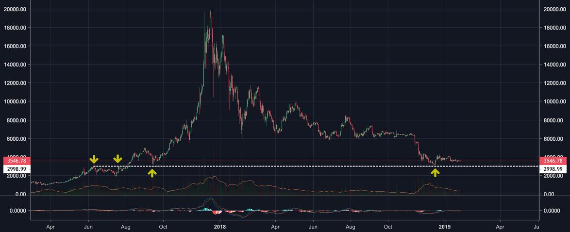 Bitcoin finally bottomed out!! Bitcoin finally bottomed out!!