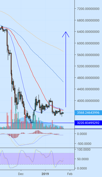 Bitcoin. From dive bar to moon. Bitcoin. From dive bar to moon.