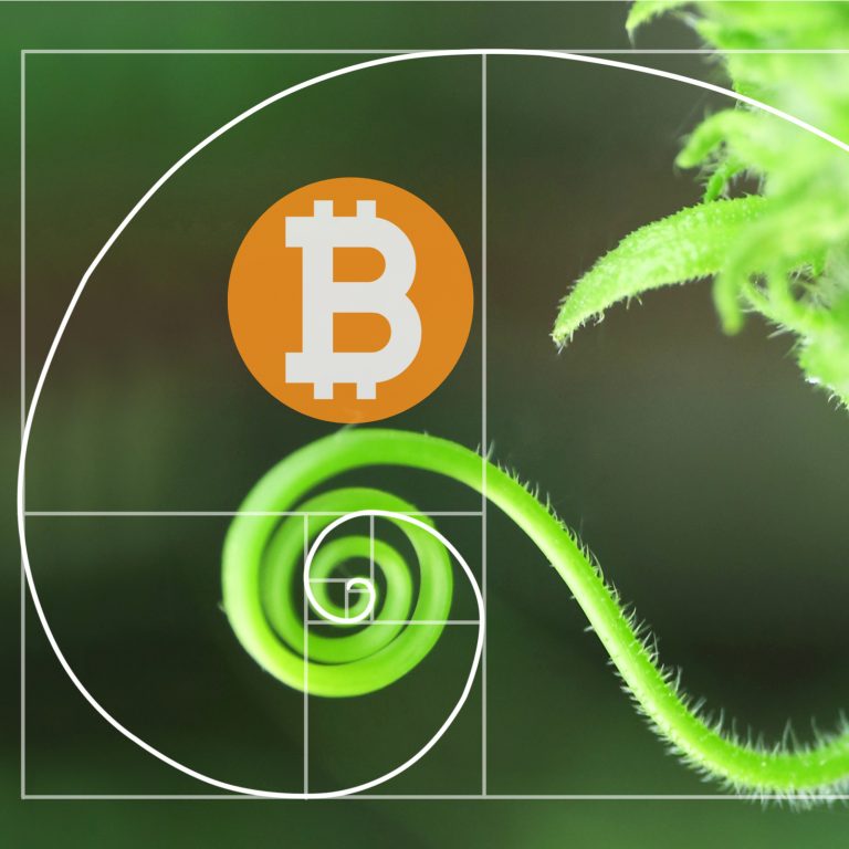 Tidbits: peter todd on passphrase memorization, antonopoulos explains transaction fees Todd recommends memorizing random passphrases, antonopoulos explains transaction fees