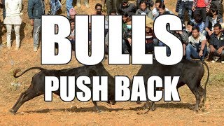 Bitcoin ethereum litecoin xrp technical analysis chart 1/14/2019 by chartguys. Com Bitcoin ethereum litecoin xrp technical analysis chart 1/14/2019 by chartguys. Com