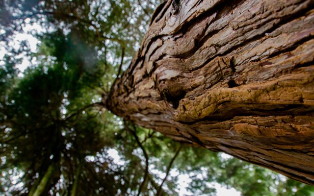 Shutterstock_1147583990-640x400. Jpg Bitcoin price: financial advisors targeting $17,571 in dec 2023