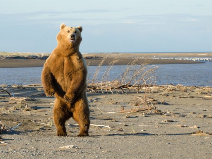 Shutterstock_196903250-768x576. Jpg Current crypto bear market set to become the longest ever