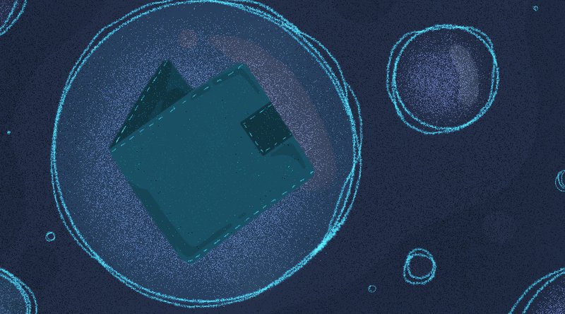 Neutrino: a privacy-preserving light wallet protocol Neutrino: a privacy-preserving light wallet protocol