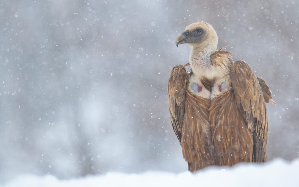 Galaxy digital reportedly raising $250m to help firms survive crypto winter Galaxy digital reportedly raising $250m to help firms survive crypto winter