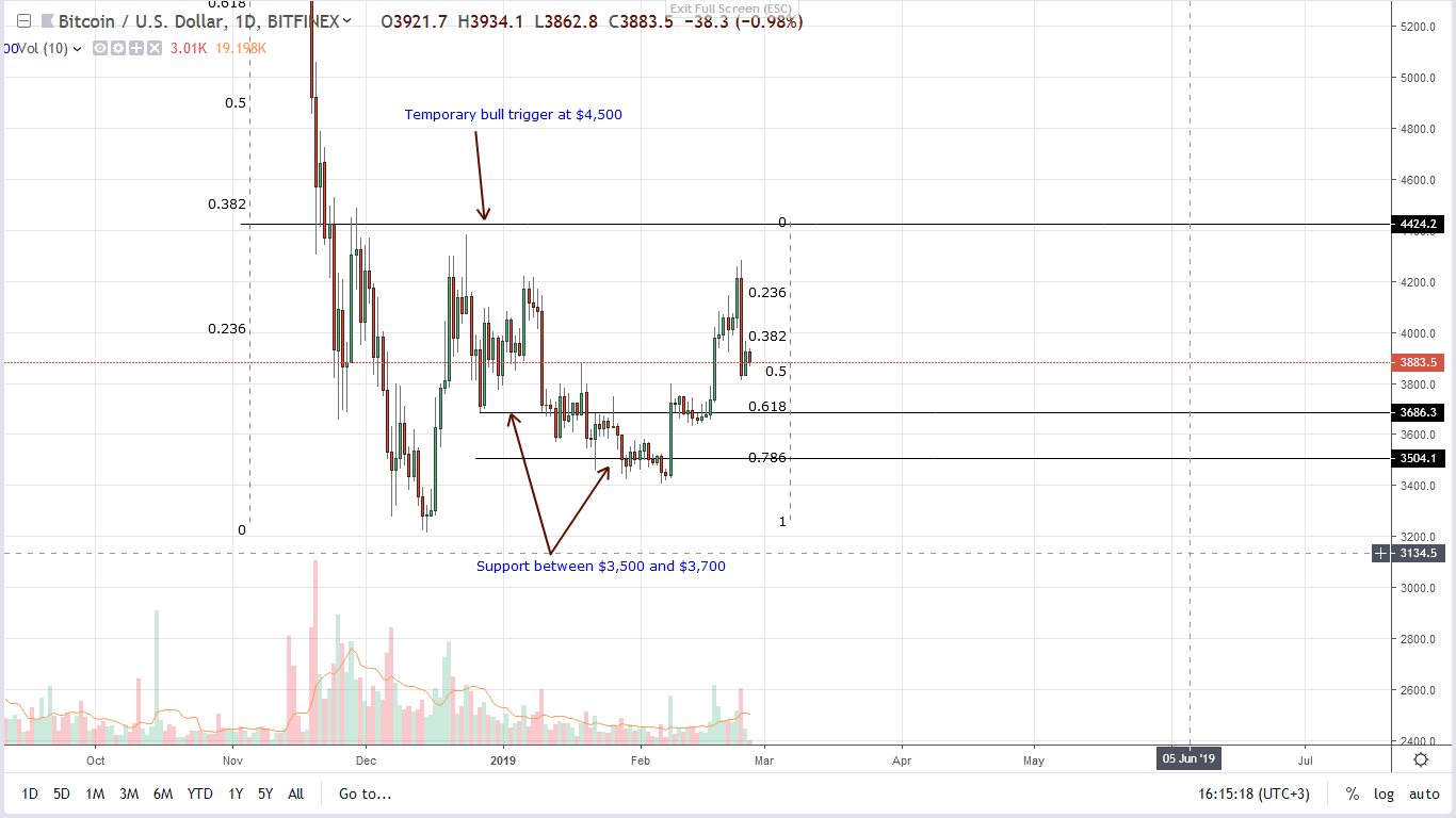 Bitcoin (btc) price under pressure but fundamentals are very bullish Bitcoin (btc) price under pressure but fundamentals are very bullish