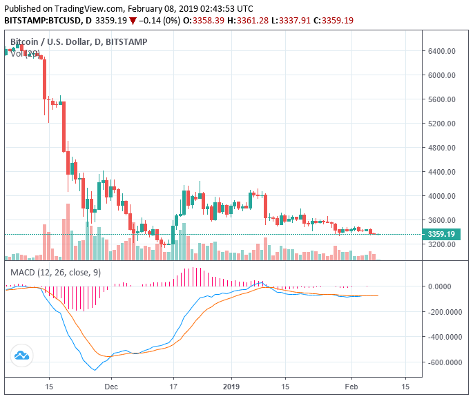 Bitcoin volatility is dying fast; btc plunged 50% from $6,500 in last free fall Bitcoin volatility is dying fast; btc plunged 50% from $6,500 in last free fall