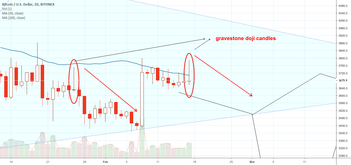 Bitcoin gravestone doji daily candle Bitcoin gravestone doji daily candle