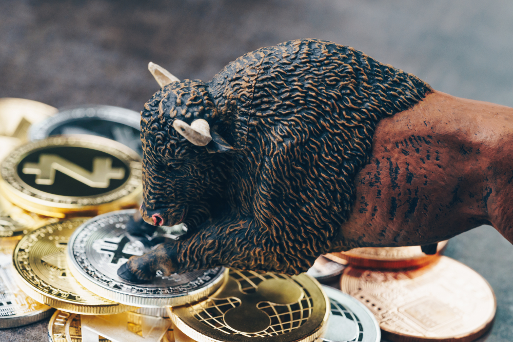 Bitcoin-kurs, litecoin, ethereum, iota, ripple ziehen stark an – pump oder bullrun? Bitcoin-kurs, litecoin, ethereum, iota, ripple ziehen stark an – pump oder bullrun?