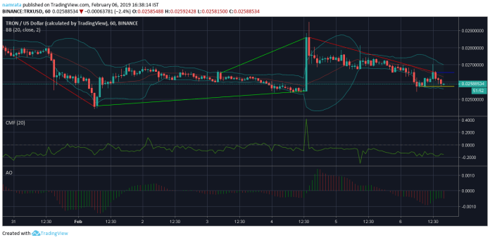 Coin relives the bearish market | Coin relives the bearish market |