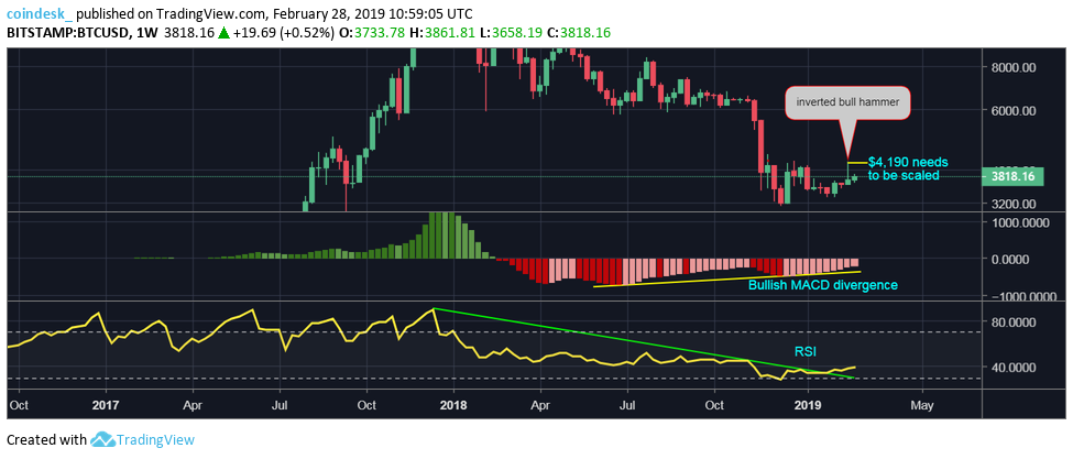 Bitcoin price may rise in march despite month’s bearish track record Bitcoin price may rise in march despite month’s bearish track record