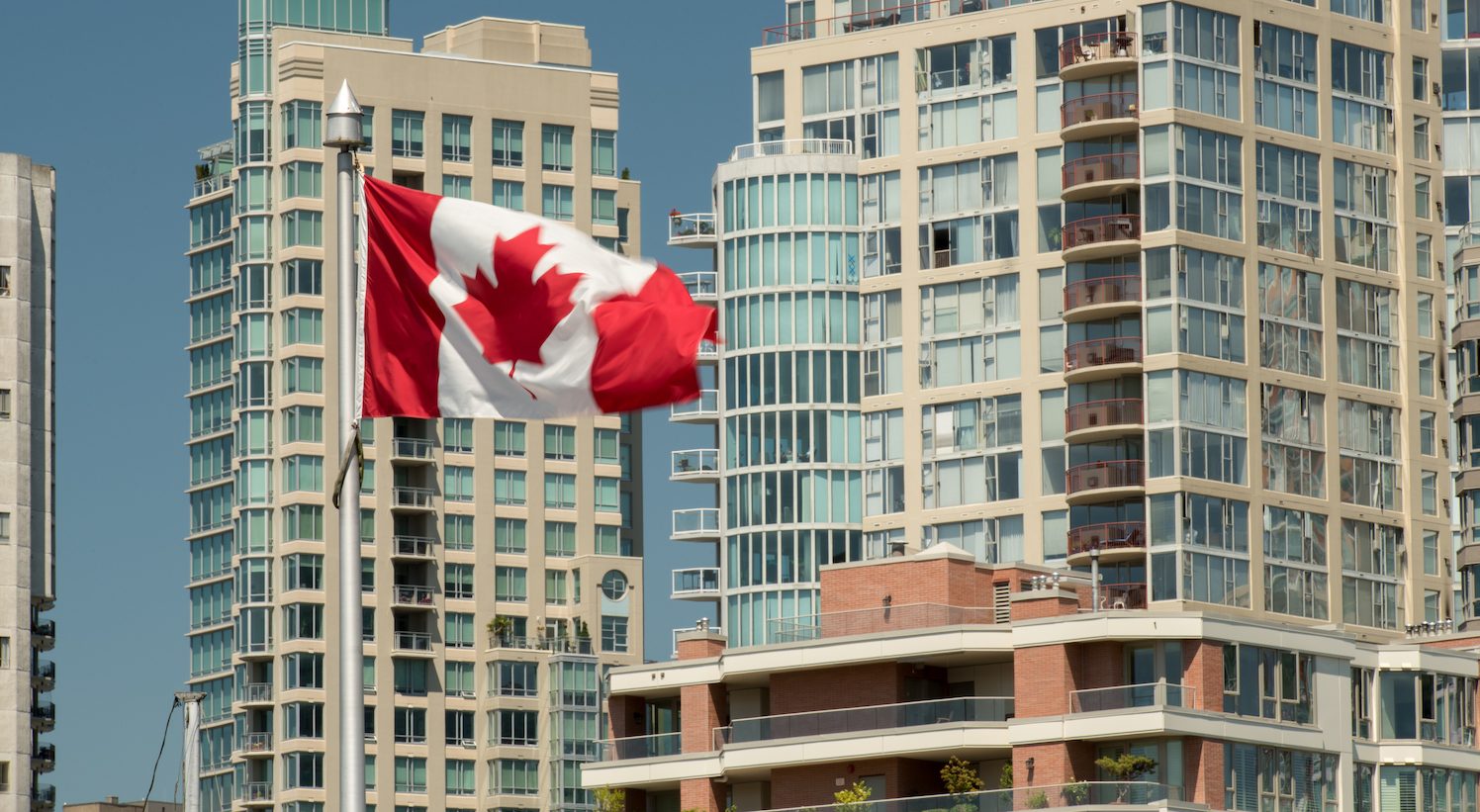 The collapse of quadrigacx: what we know (and what we don’t) The collapse of quadrigacx: what we know (and what we don’t)