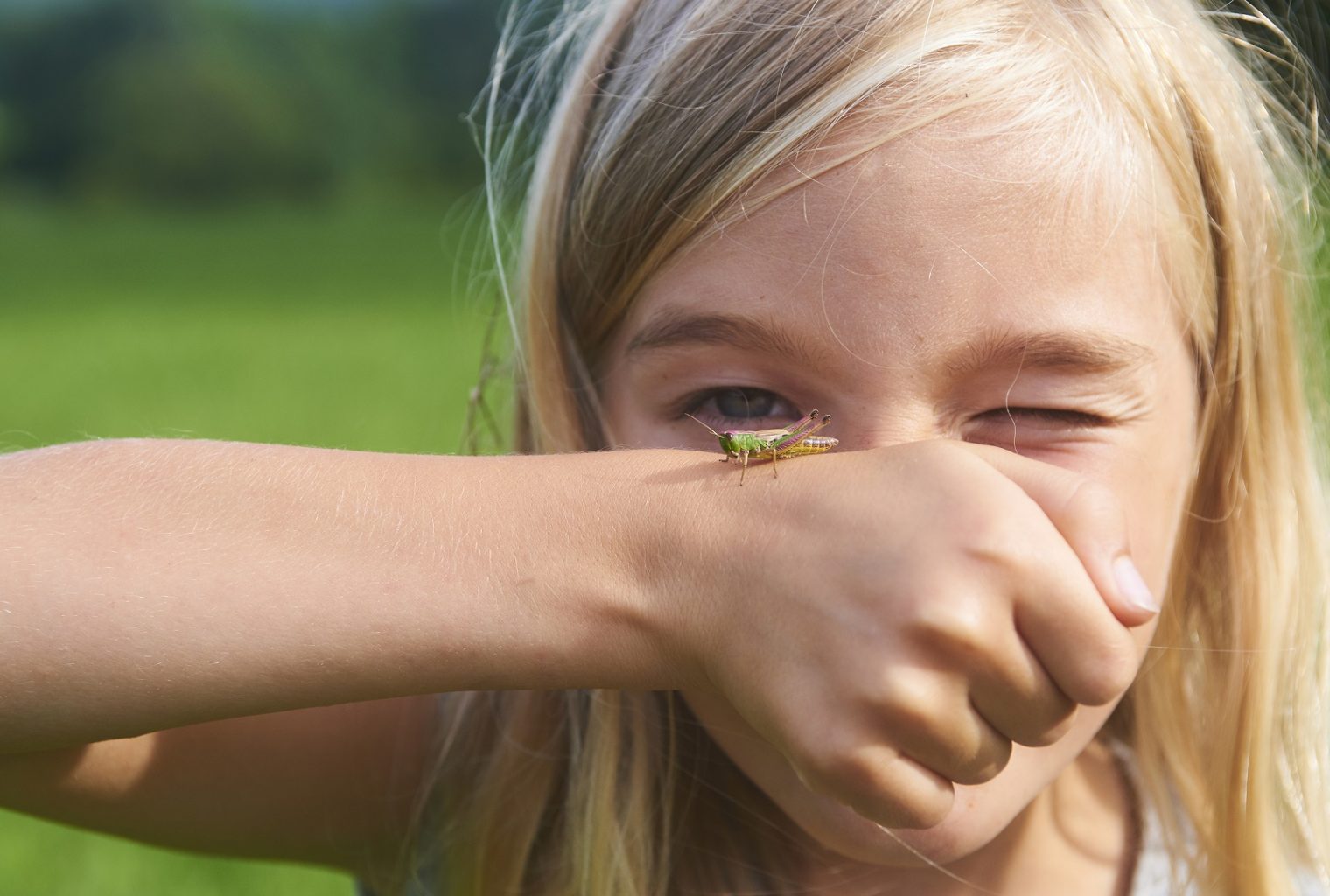 In the daily: coinbase bug bounty, tradingview crypto dashboard, bitfinex app update In the daily: coinbase bug bounty, tradingview crypto dashboard, bitfinex app update