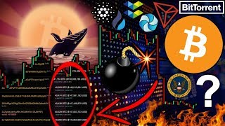Bitcoin whales awaken!!! Dormant bitcoin wallets holding 60% of all $btc recently active! Bitcoin whales awaken!!! Dormant bitcoin wallets holding 60% of all $btc recently active!