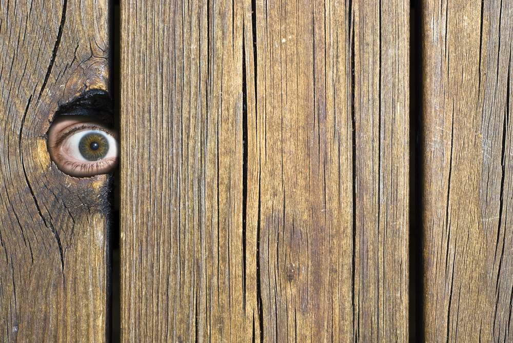 Regulierungs-echo kw5: geleakter optimismus Regulierungs-echo kw5: geleakter optimismus