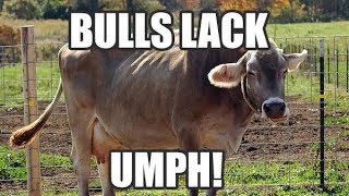 Bitcoin ethereum litecoin xrp bnb technical analysis chart 1/8/2019 by chartguys. Com Bitcoin ethereum litecoin xrp bnb technical analysis chart 1/8/2019 by chartguys. Com