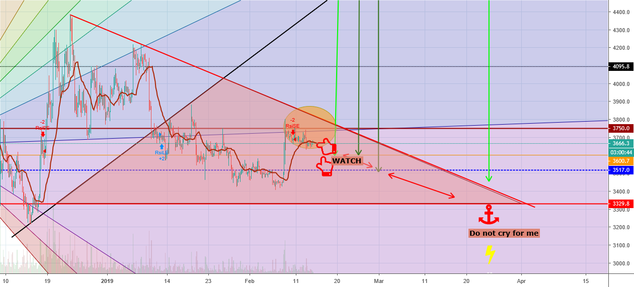 Bitcoin bull run update simple view Bitcoin bull run update simple view