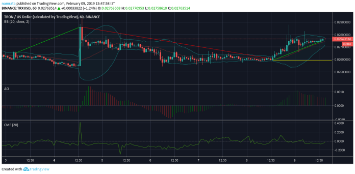 Bear maintains a hold on the coin in the bull’s market | Bear maintains a hold on the coin in the bull’s market |