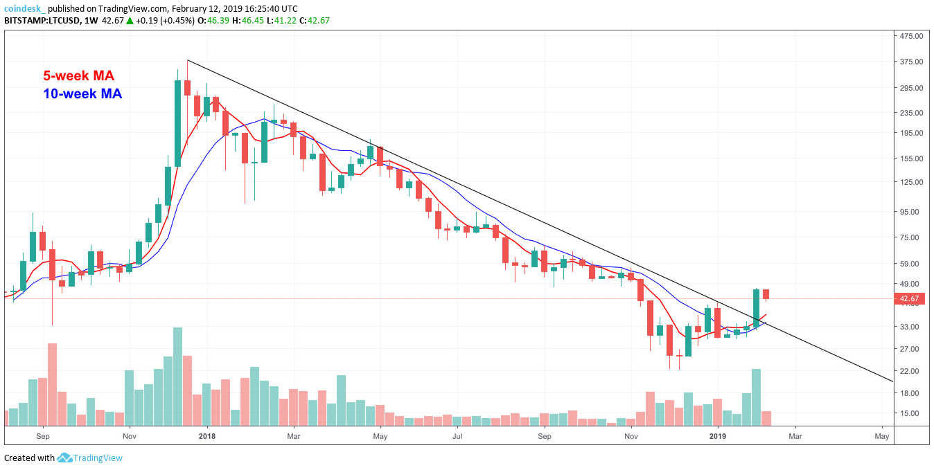 Litecoin’s halving is months away, but traders may already be pricing it in Litecoin’s halving is months away, but traders may already be pricing it in