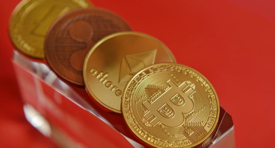 The top 10 cryptocurrencies one year into the bear market The top 10 cryptocurrencies one year into the bear market