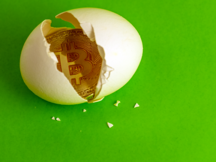 Bitcoin-egg-768x576. Png These bitcoin easter eggs are hidden in plain sight