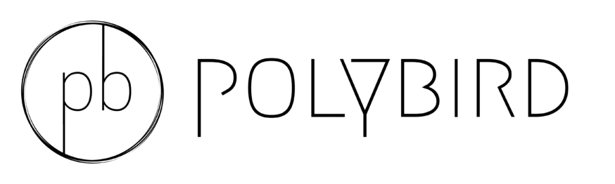 Polybird’s patrick springer on the future of asset tokenization Polybird