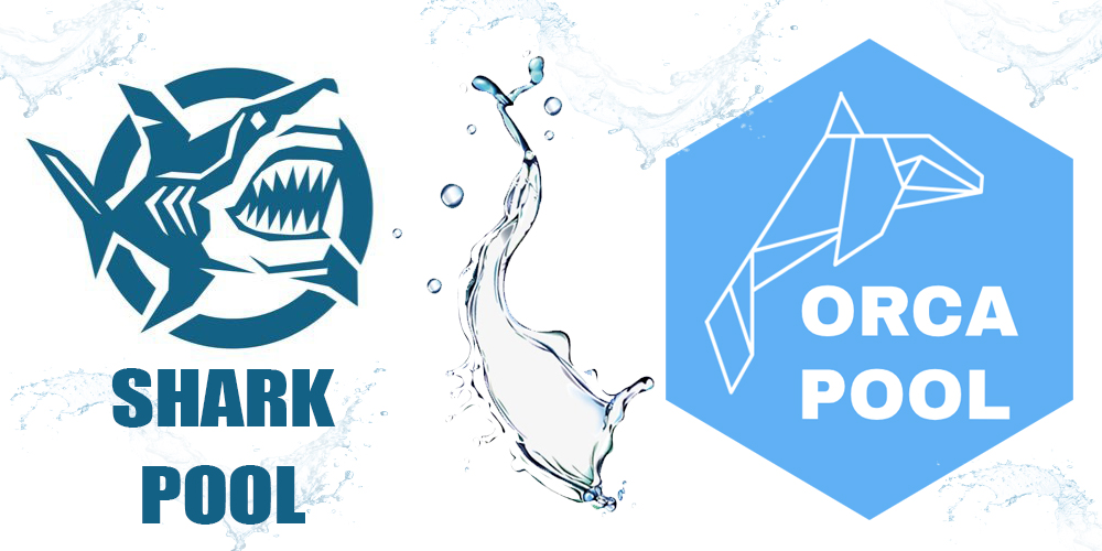 Orca pool mining operation aims to defend altcoins and forks from attacks Orca pool mining operation aims to defend altcoins and forks from attacks