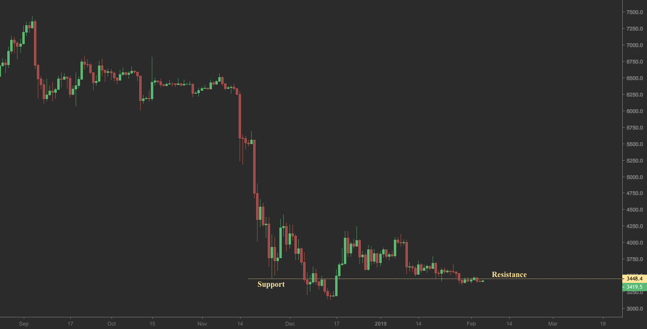 Bitcoin daily ($xbt bitmex) Bitcoin daily ($xbt bitmex)