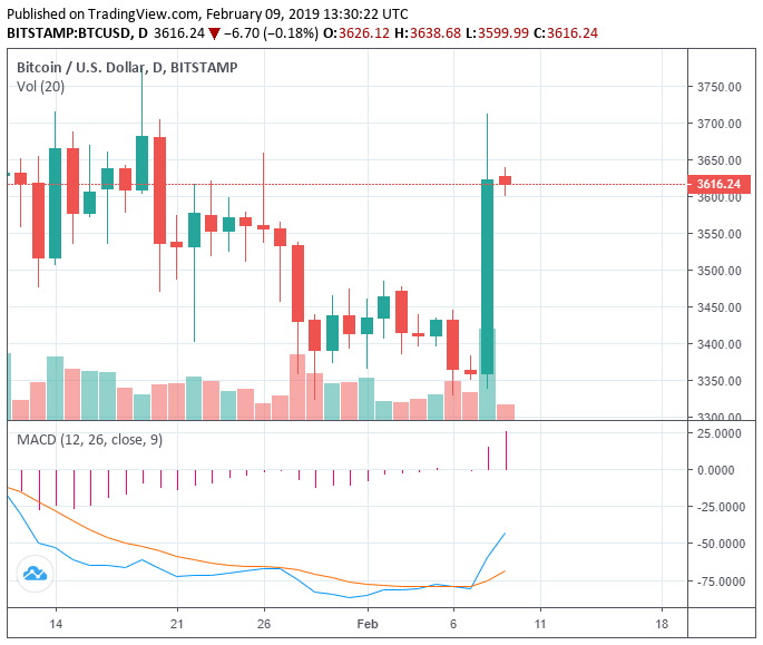 Bitcoin bottom in? What crypto traders expect after $10 billion surge overnight Bitcoin bottom in? What crypto traders expect after $10 billion surge overnight