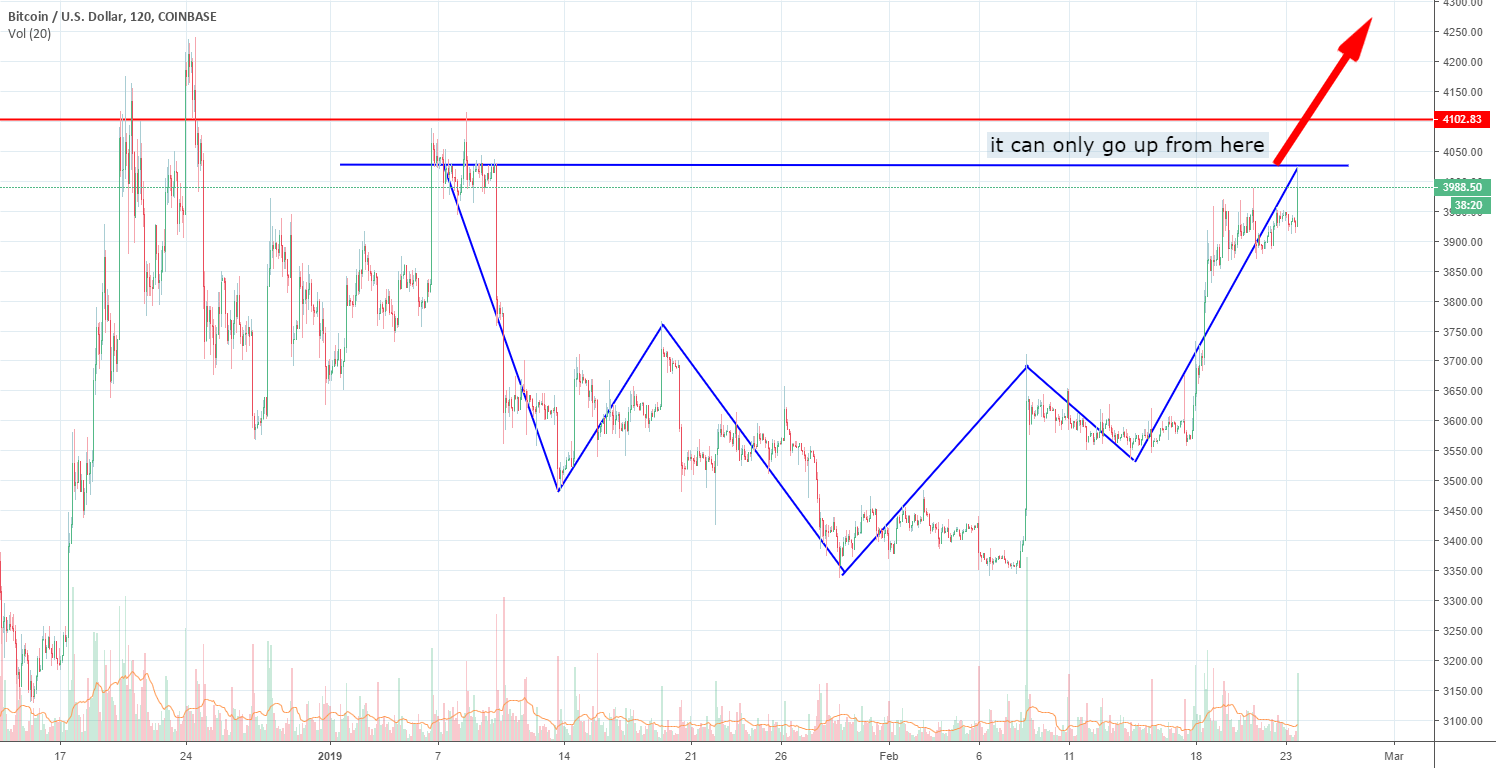 Bitcoin trends up from here 2019 Bitcoin trends up from here 2019