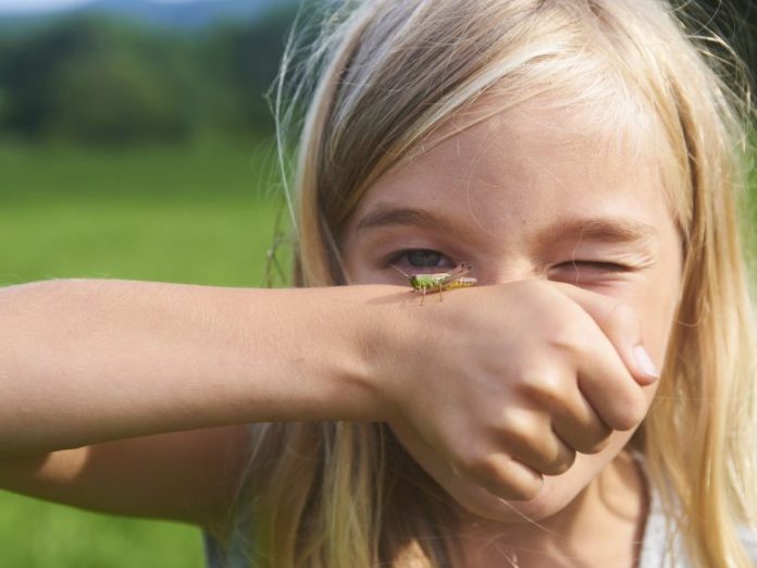 Shutterstock_691539985_1600-768x576. Jpg In the daily: coinbase bug bounty, tradingview crypto dashboard, bitfinex app update