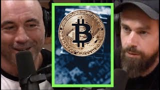 Twitter ceo on bitcoin "the internet will have a currency" | joe rogan Twitter ceo on bitcoin "the internet will have a currency" | joe rogan