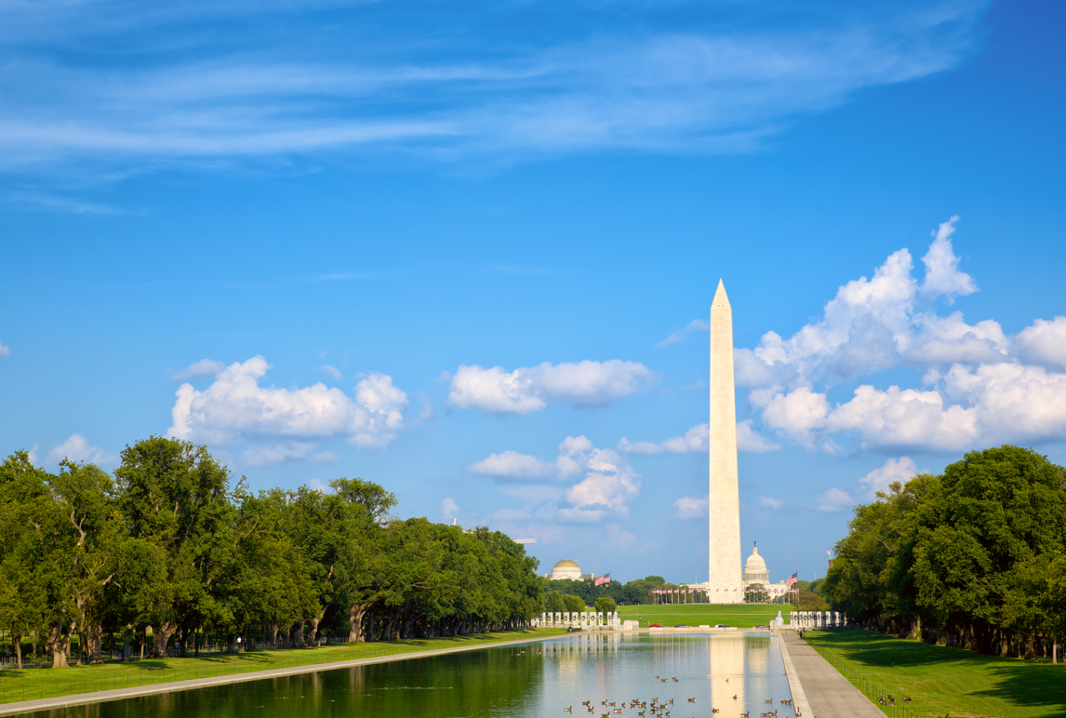 In the daily: cryptopia resumes trading, us crypto lobbying intensifies, visa crypto job In the daily: cryptopia resumes trading, us crypto lobbying intensifies, visa crypto job