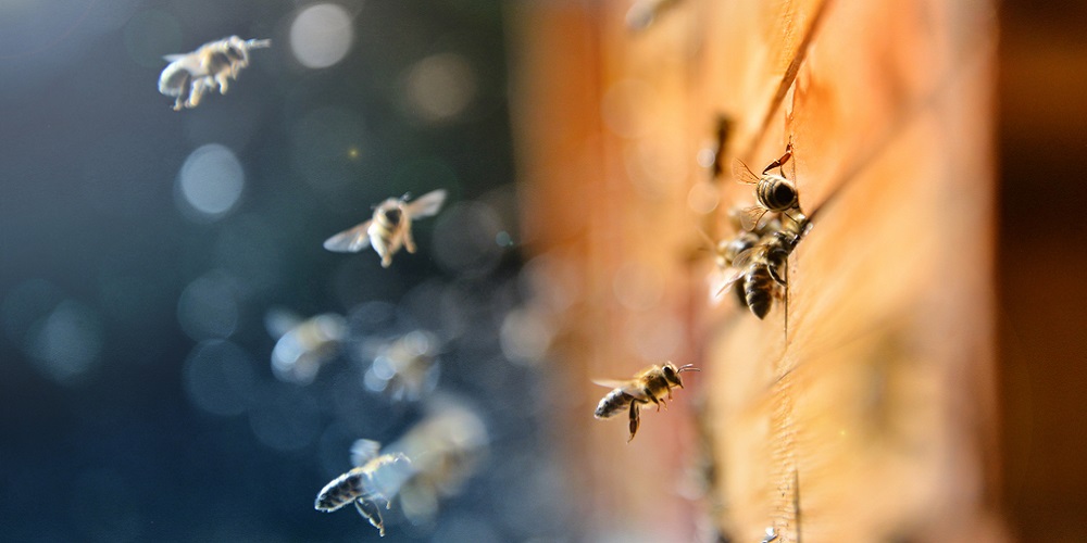 In the daily: coinhive closedown, eos heist, crypto entrepreneur arrested In the daily: coinhive closedown, eos heist, crypto entrepreneur arrested