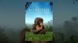 Bonobos: back to the wild Bonobos: back to the wild