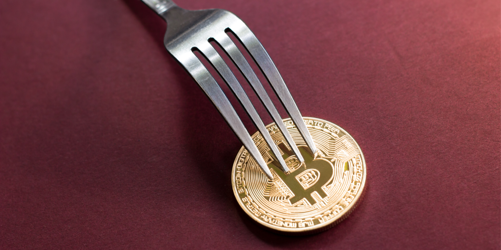 Active development for most bitcoin forks evaporates Active development for most bitcoin forks evaporates