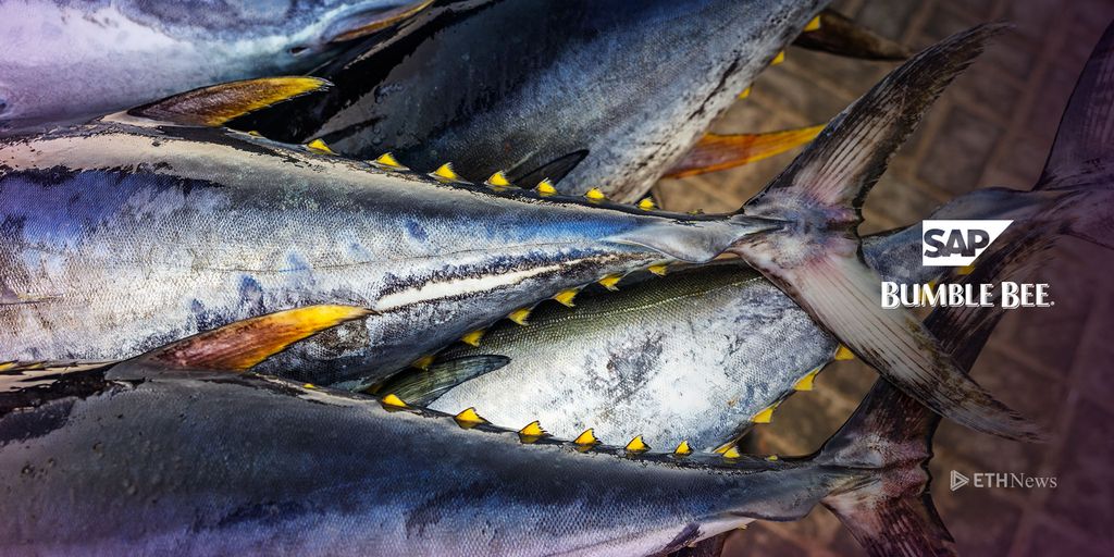 Bumble bee foods uses blockchain to track yellowfin tuna Bumble bee foods uses blockchain to track yellowfin tuna