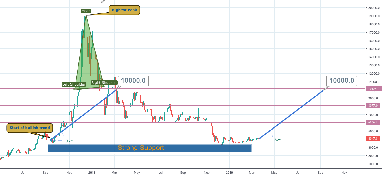 Bitcoin is coming back: $10,000 till october 2019 Bitcoin is coming back: $10,000 till october 2019