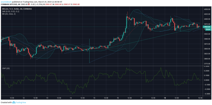 Cryptocurrency holds above $4000 mark as bear watches over | Cryptocurrency holds above $4000 mark as bear watches over |